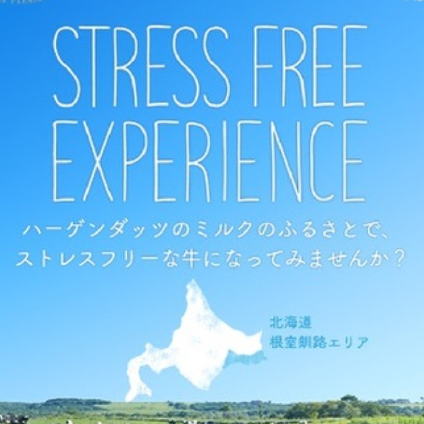 Stress Free Experience ハーゲンダッツのミルクのふるさとで、ストレスフリーな牛になってみませんか？