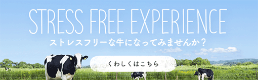 ストレスフリーエクスペリエンス