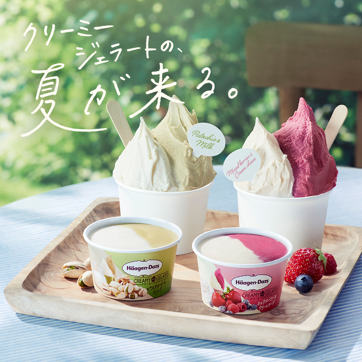 ハーゲンダッツ ジャパン Haagen Dazs ハーゲンダッツ ジャパン Haagen Dazs