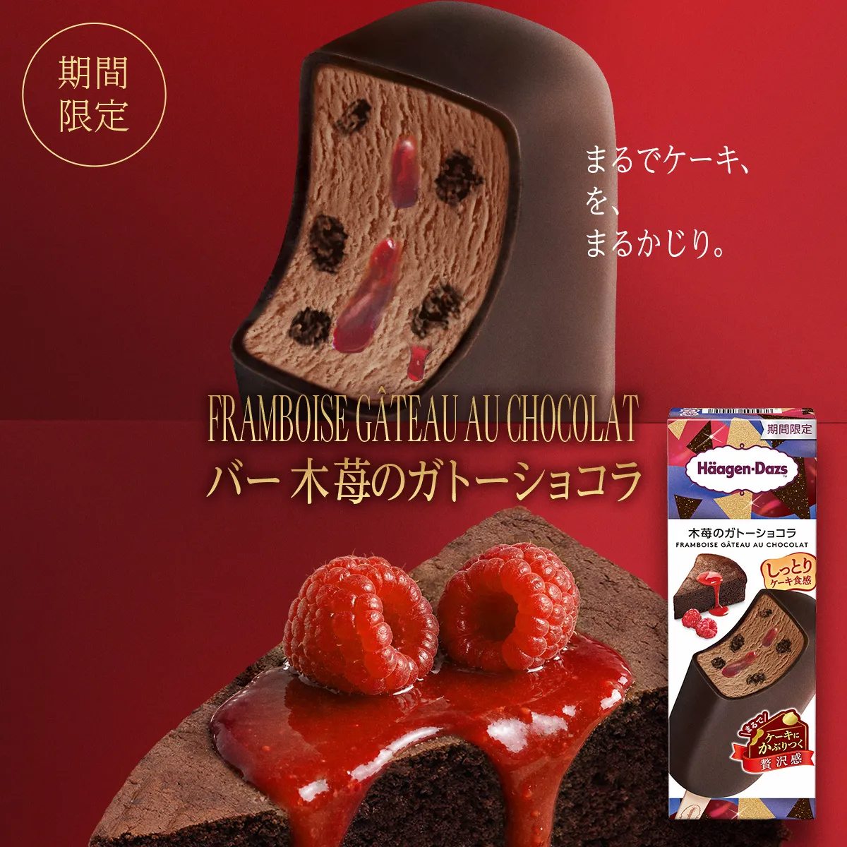 Framboise Gâteau au Chocolat