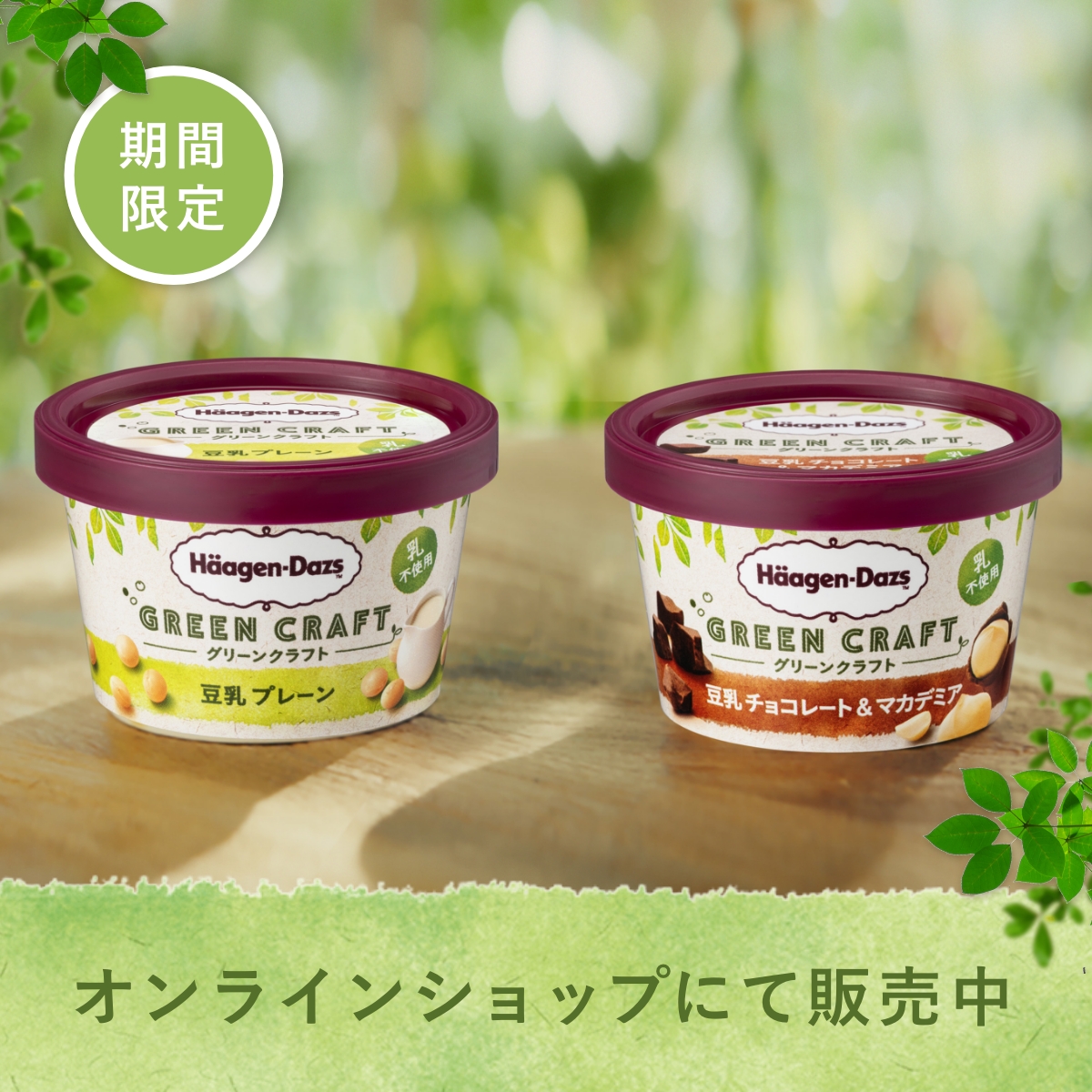 ハーゲンダッツ ジャパン Häagen-Dazs