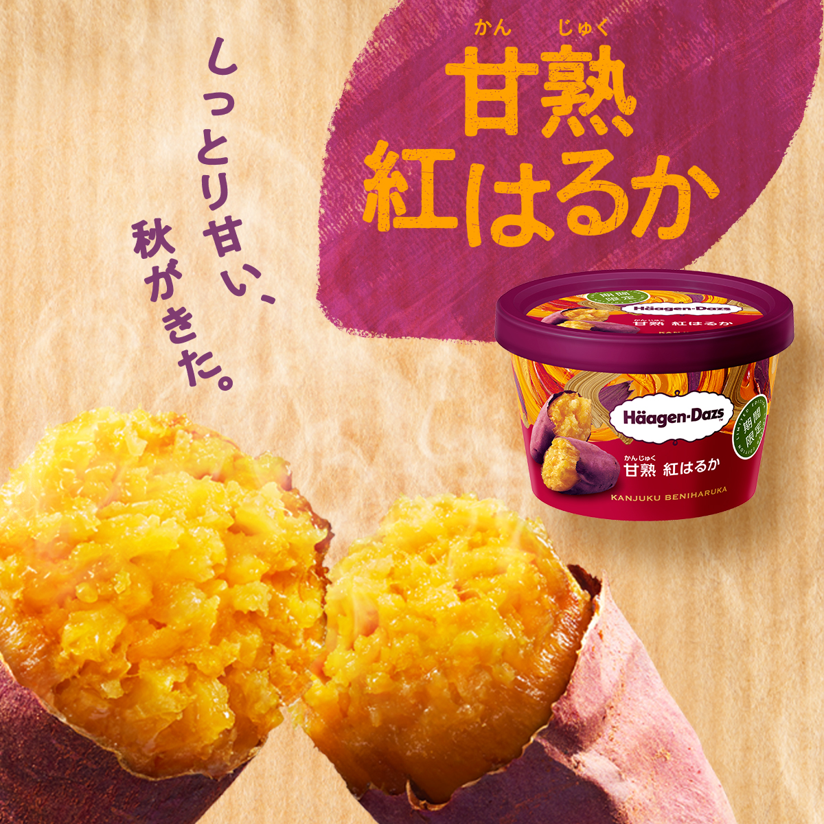 ハーゲンダッツ ジャパン Haagen Dazs