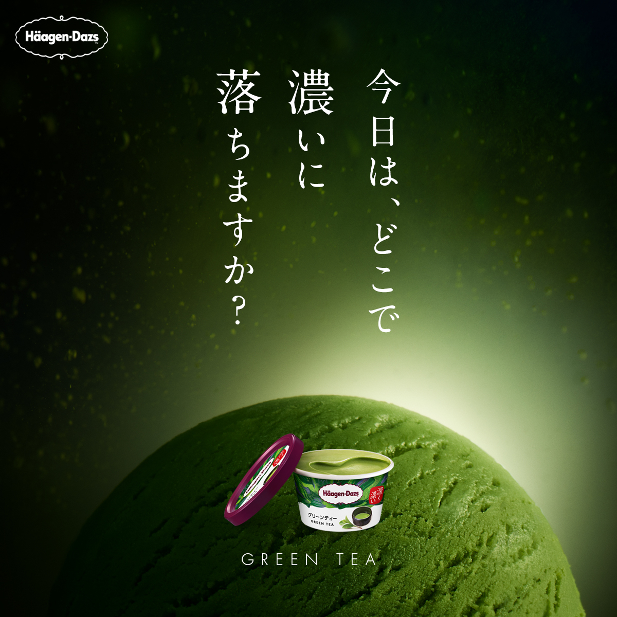 抹茶濃い系TikTok動画配信中