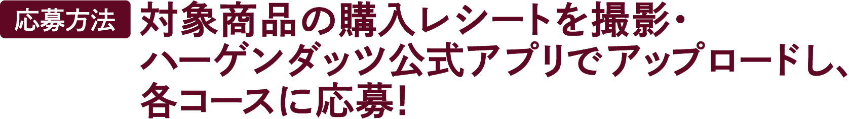 【応募方法】対象商品の購入レシートを撮影・ハーゲンダッツ公式アプリでアップロードし、各コースに応募！