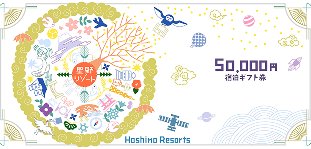星野リゾート 宿泊ギフト券