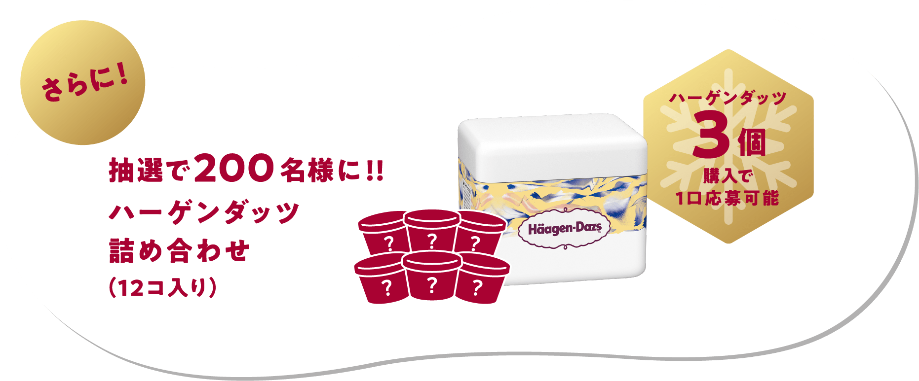 さらに！抽選で200名様に!!ハーゲンダッツ詰め合わせ(12コ入り)ハーゲンダッツ3個購入で1口応募可能