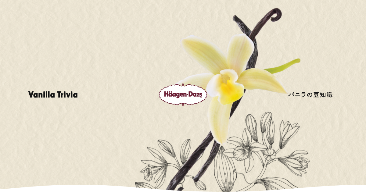 バニラの豆知識｜ハーゲンダッツ ジャパン Häagen-Dazs