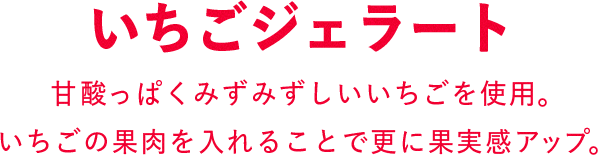 いちごジェラート 甘酸っぱくみずみずしいいちごを使用。いちごの果肉を入れることで更に果実感アップ。