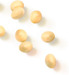 キッチンフレンドリー画像