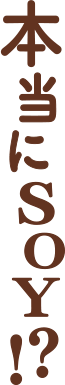 本当にSOY!?