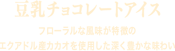 豆乳チョコレートアイス