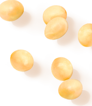 大豆画像（1）