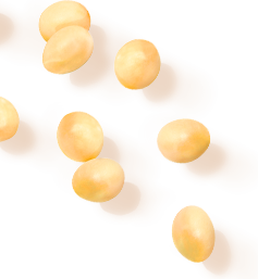 キッチンフレンドリー画像