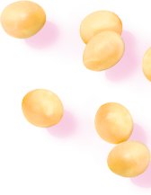 大豆画像（1）