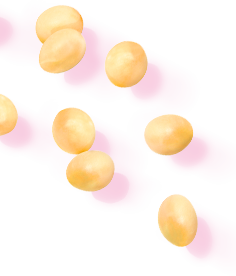 キッチンフレンドリー画像