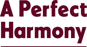 Exquisite Harmony