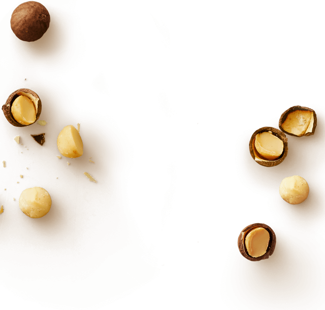 マカデミアナッツ｜Häagen8｜ハーゲンダッツ ジャパン Häagen-Dazs