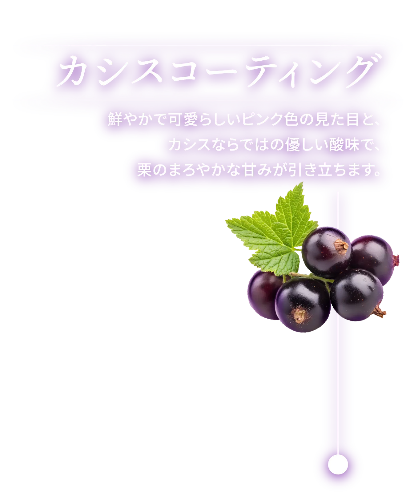 カシスコーティング 鮮やかで可愛らしいピンク色の見た目と、カシスならではの優しい酸味で、栗のまろやかな甘みが引き立ちます。