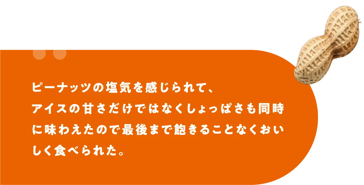 ピーナッツの塩気を感じられて、アイスの甘さだけではなくしょっぱさも同時に味わえたので最後まで飽きることなくおいしく食べられた。