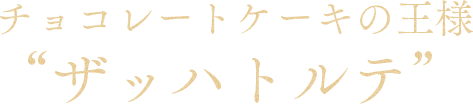 チョコレートケーキの王様“ザッハトルテ”