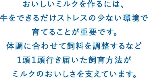 おいしいミルクを作るには、牛をできるだけストレスの少ない環境で育てることが重要です。体調に合わせて飼料を調整するなど１頭１頭行き届いた飼育方法がミルクのおいしさを支えています。