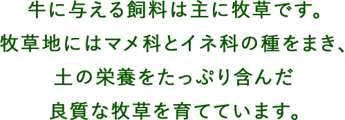 牛に与える飼料は主に牧草です。牧草地にはマメ科とイネ科の種をまき、土の栄養をたっぷり含んだ良質な牧草を育てています。
