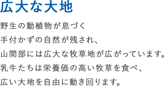 広大な土地