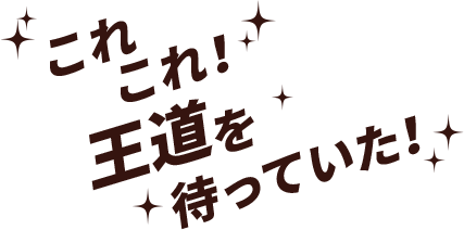 これこれ！王道を待っていた！