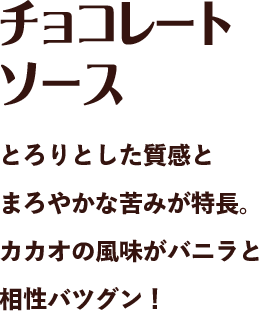 チョコレートソース とろりとした質感とまろやかな苦味が特長。カカオの風味がバニラと相性バツグン！