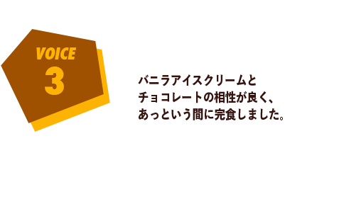 voice3 バニラアイスクリームとチョコレートの相性が良く、あっという間に完食しました。