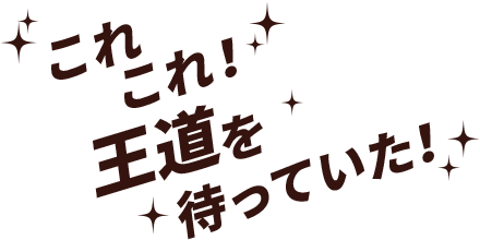 これこれ！王道を待っていた！