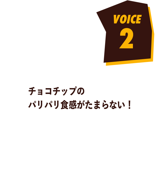 voice2 チョコチップのパリパリ食感がたまらない！