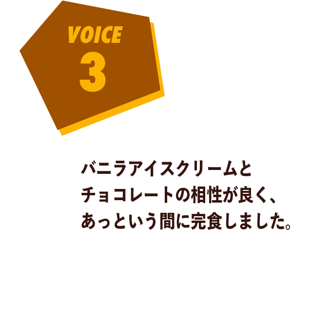 voice3 バニラアイスクリームとチョコレートの相性が良く、あっという間に完食しました。