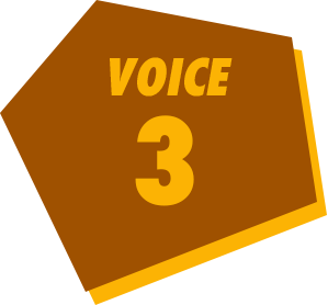 voice3