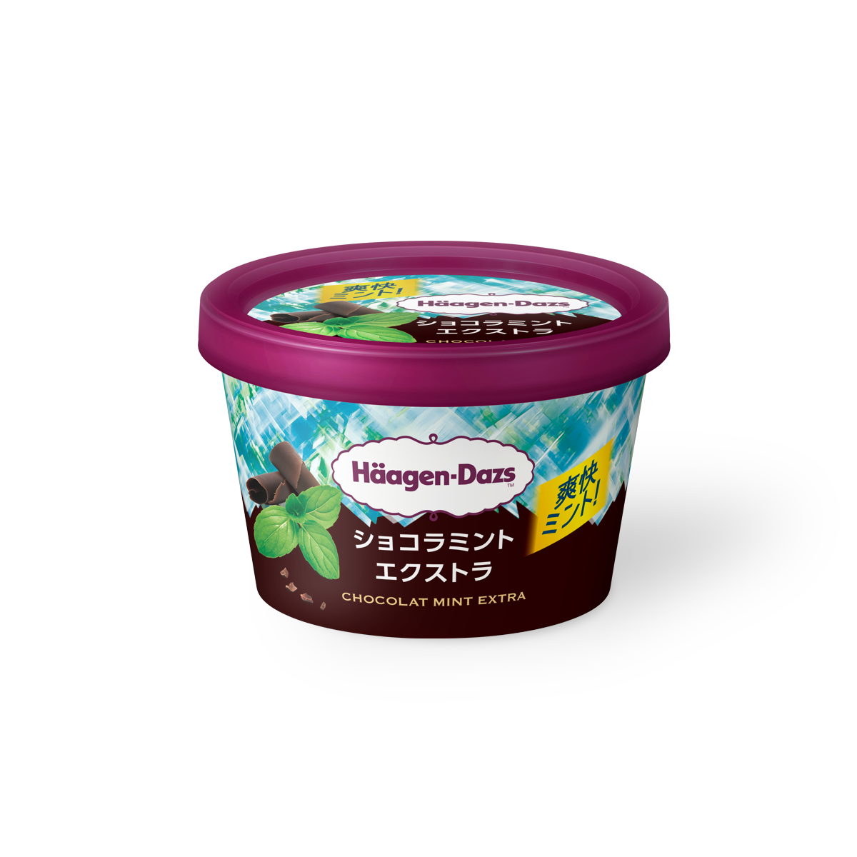 ハーゲンダッツ ジャパン Häagen-Dazs
